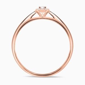 THE FIRST LIGHT SOLITAIRE